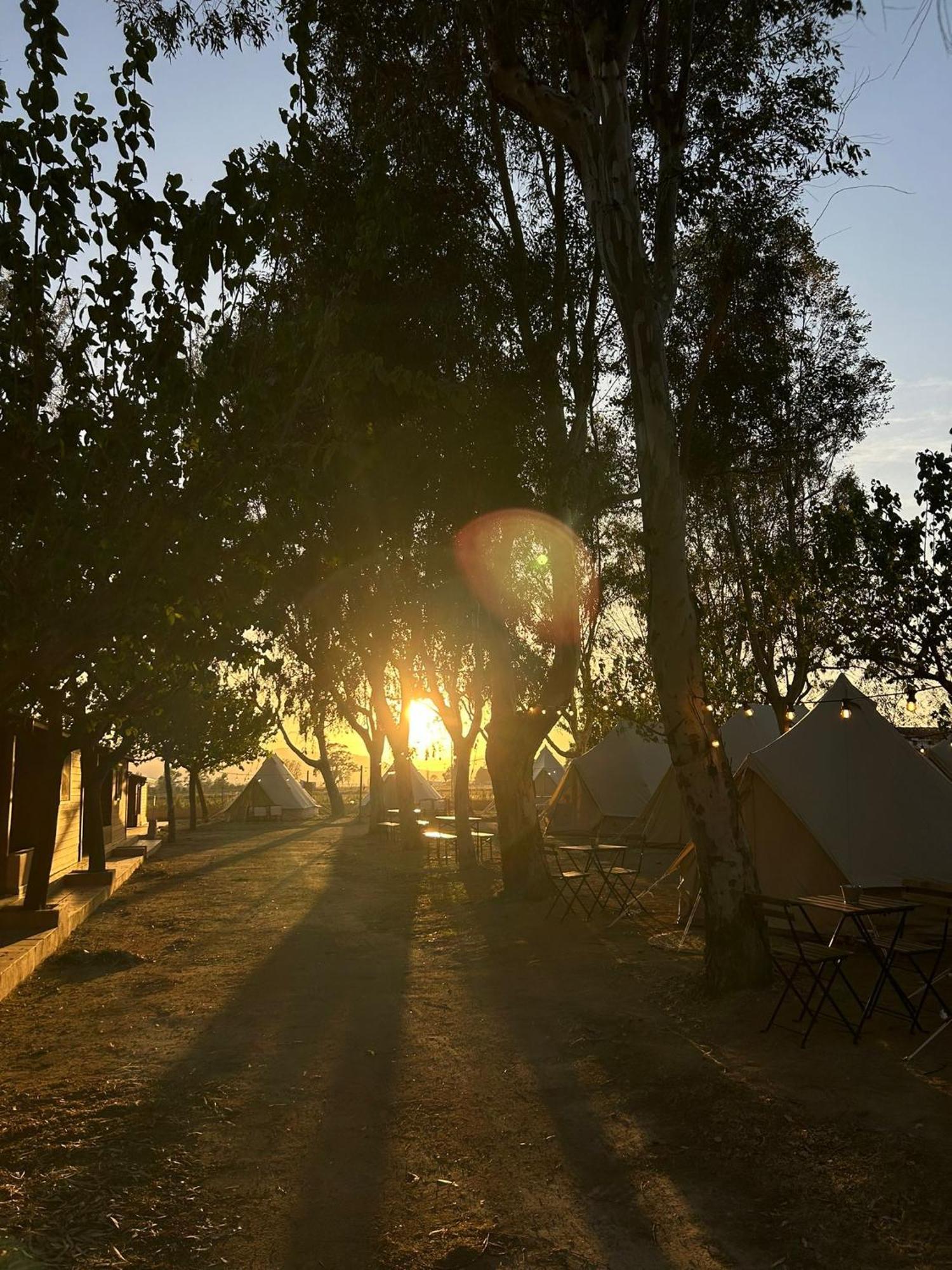 Camping Delta Natura La Tancada アンポスタ エクステリア 写真