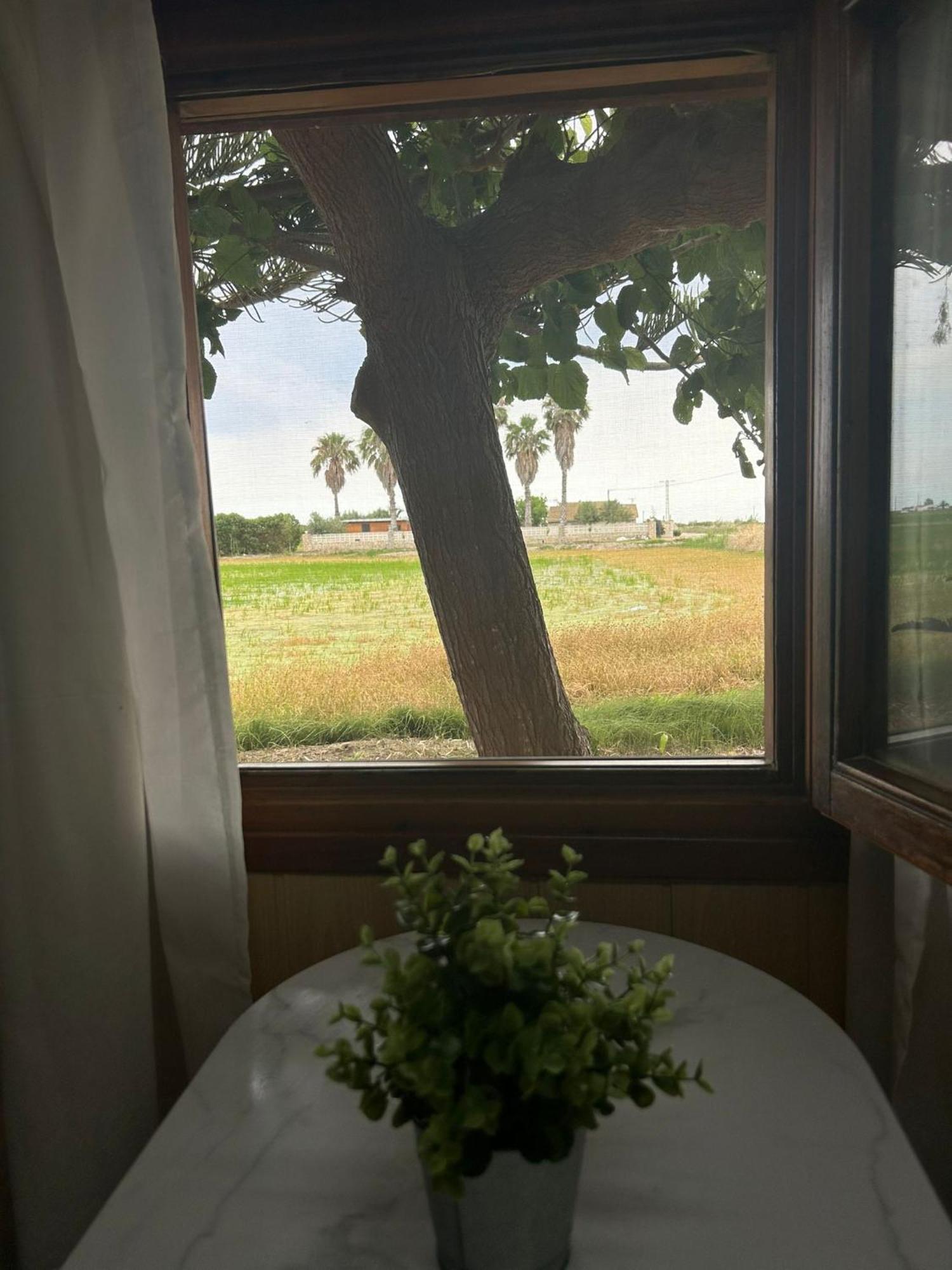 Camping Delta Natura La Tancada アンポスタ エクステリア 写真